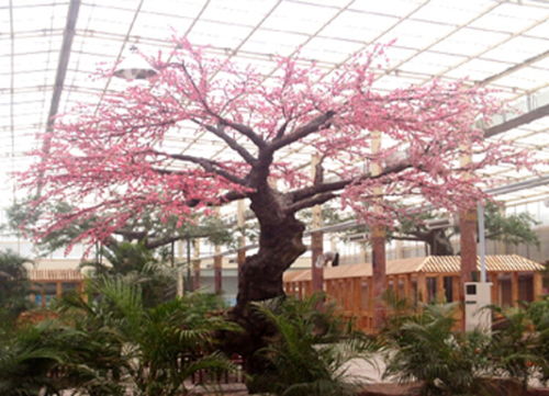 蚌埠假樹(shù),水泥假樹(shù)安裝定做